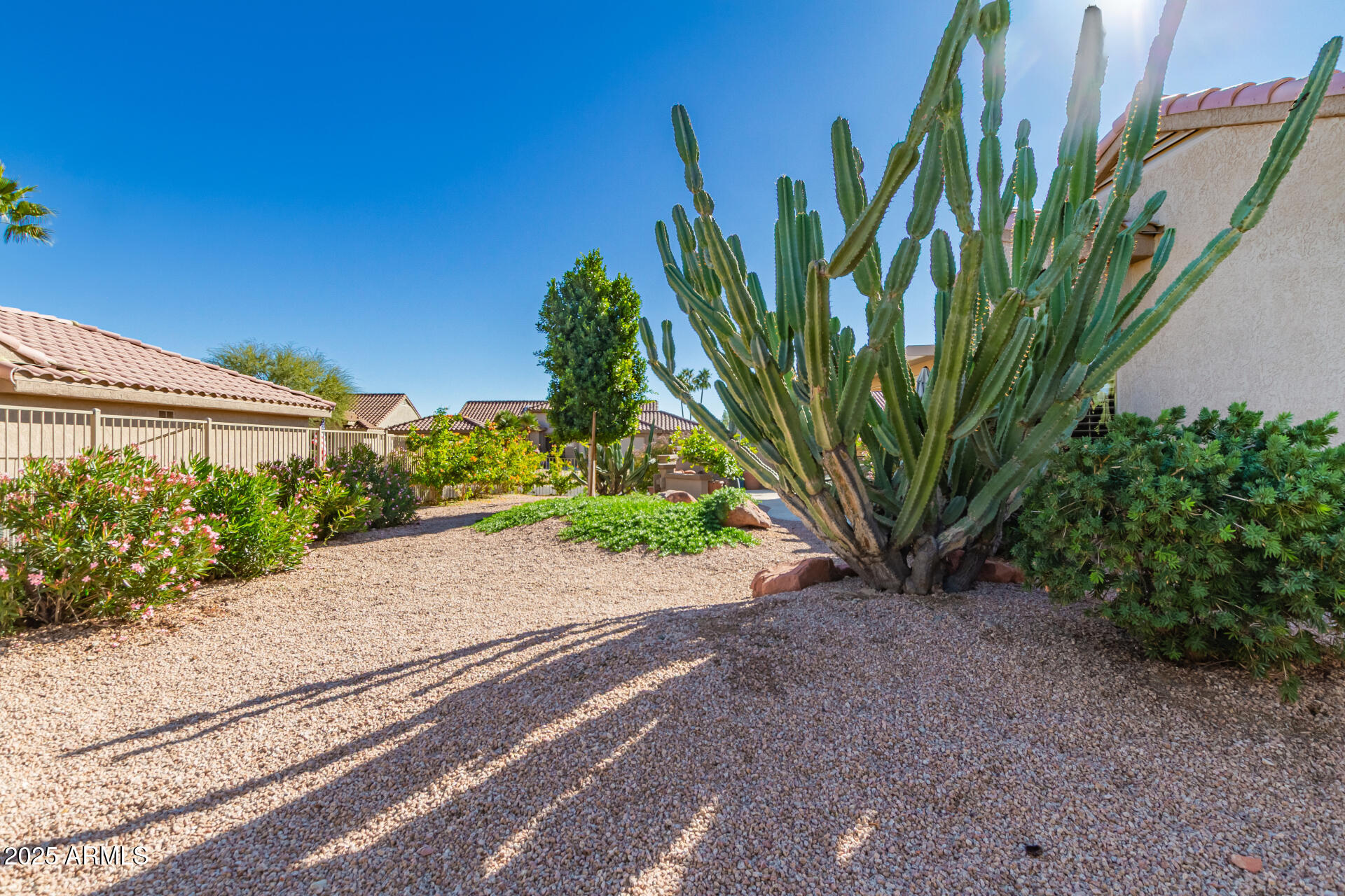 19877 North Crimson Ridge Way Surprise, AZ 85374 - Photo 26 of 29 Backyard
