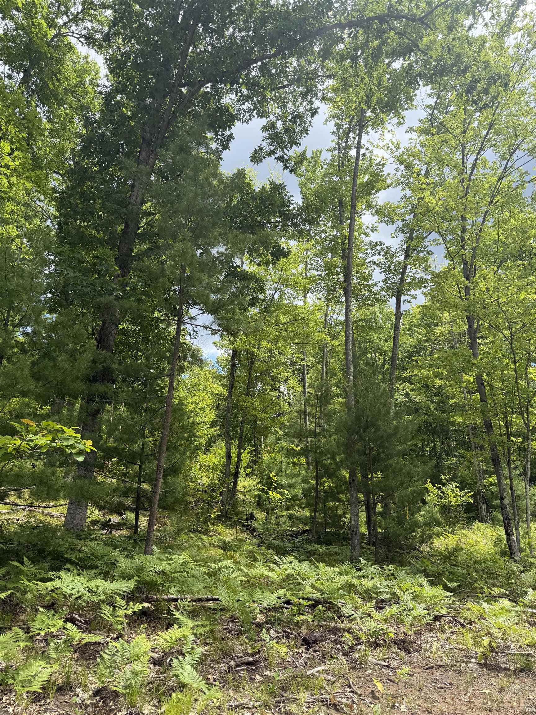 Lot 8 Rhett Lane, Unit 8 Wausaukee, WI 54177 - Photo 10 of 16