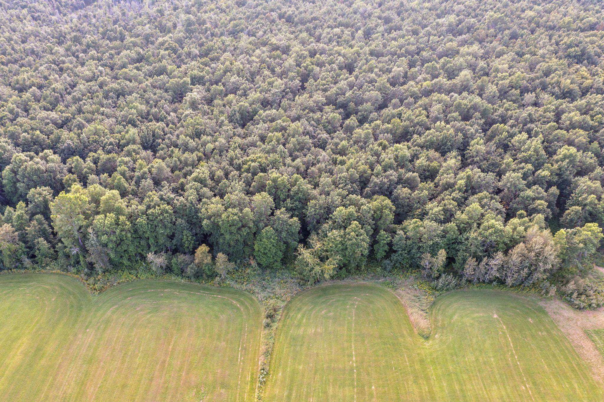 149 Border Road, Unit 2 Alburgh, VT 05440 - Photo 2 of 8 Gallery Image 2