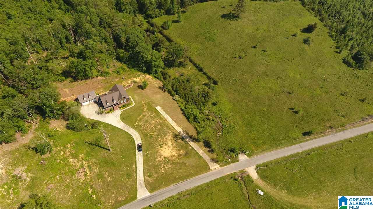 2762 Highway 42 Oneonta, AL 35121 - Photo 3 of 44