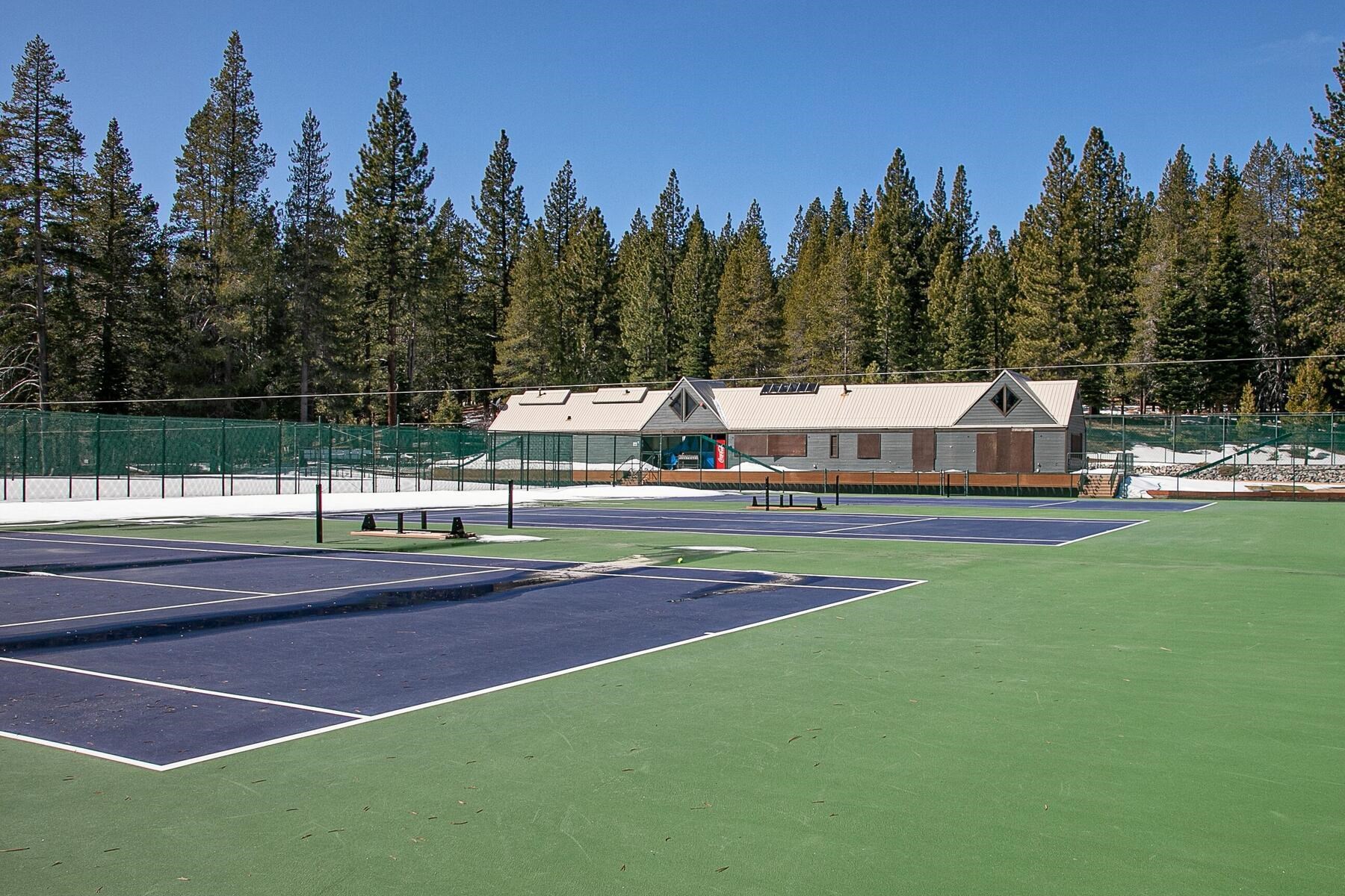 11568 Schussing Way Truckee, CA 96161 - Photo 21 of 28 a view of a swimming pool with a yard and trees