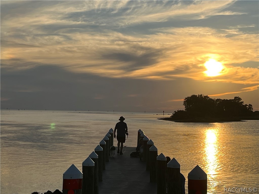 11590 North Kayak Point Inglis, FL 34449 - Photo 83 of 87