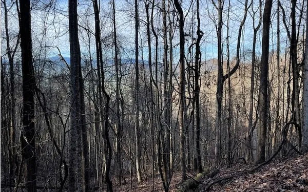 $49,900 | 73 Hidden Treasure Estate, Murphy, NC 28906