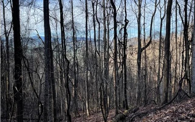 $55,000 | 73 Hidden Treasure Estate, Murphy, NC 28906