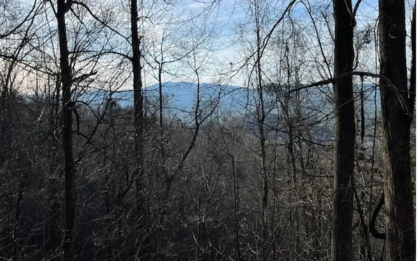 $49,900 | 73 Hidden Treasure Estate, Murphy, NC 28906