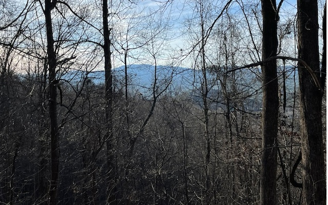 73 Hidden Treasure Estate Murphy, NC 28906 - Photo 12 of 27 Additional View