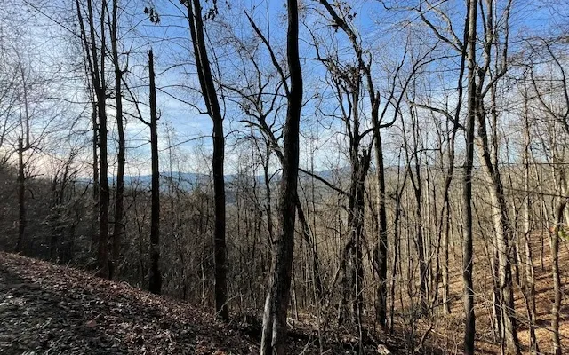 $55,000 | 73 Hidden Treasure Estate, Murphy, NC 28906