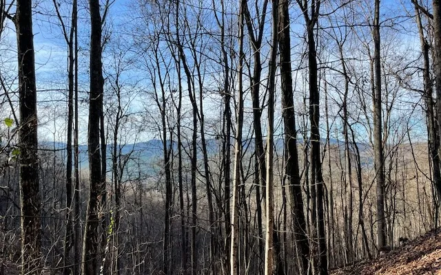 $55,000 | 73 Hidden Treasure Estate, Murphy, NC 28906