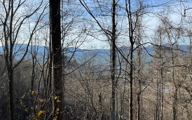 73 Hidden Treasure Estate Murphy, NC 28906 - Photo 16 of 27 Additional View