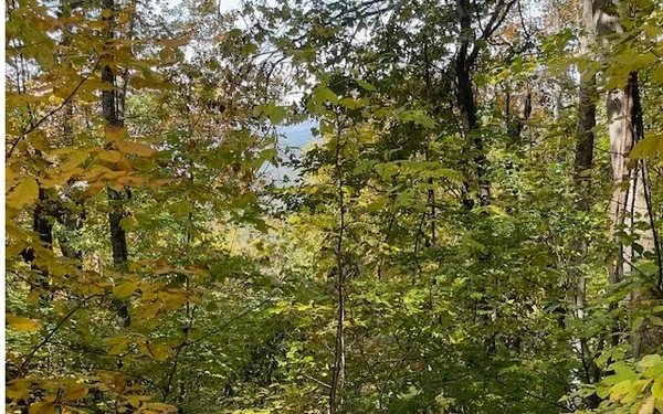 $49,900 | 73 Hidden Treasure Estate, Murphy, NC 28906