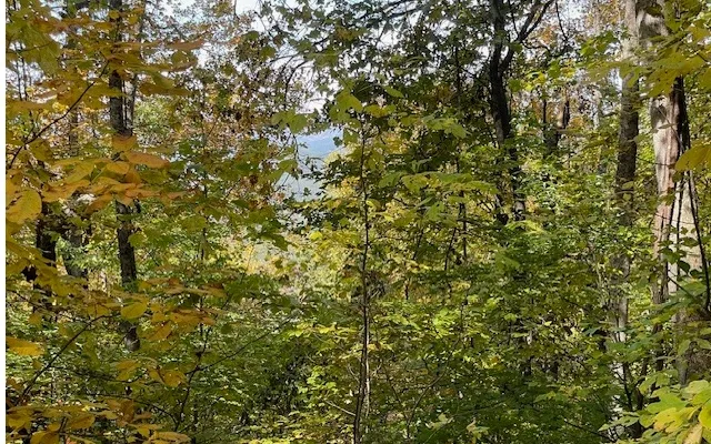 $55,000 | 73 Hidden Treasure Estate, Murphy, NC 28906