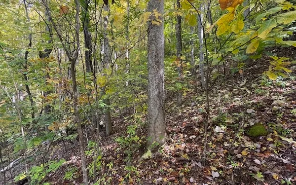 $49,900 | 73 Hidden Treasure Estate, Murphy, NC 28906