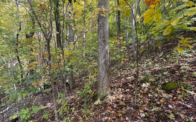 73 Hidden Treasure Estate Murphy, NC 28906 - Photo 19 of 27 Additional View