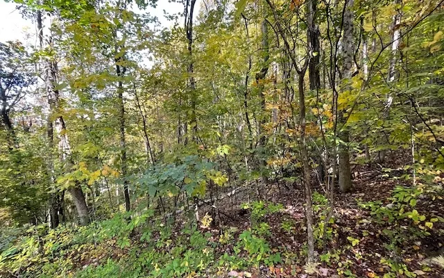 $55,000 | 73 Hidden Treasure Estate, Murphy, NC 28906