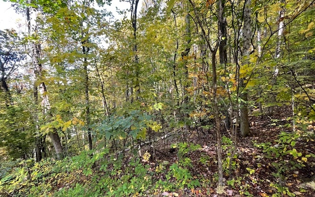 73 Hidden Treasure Estate Murphy, NC 28906 - Photo 20 of 27 Additional View