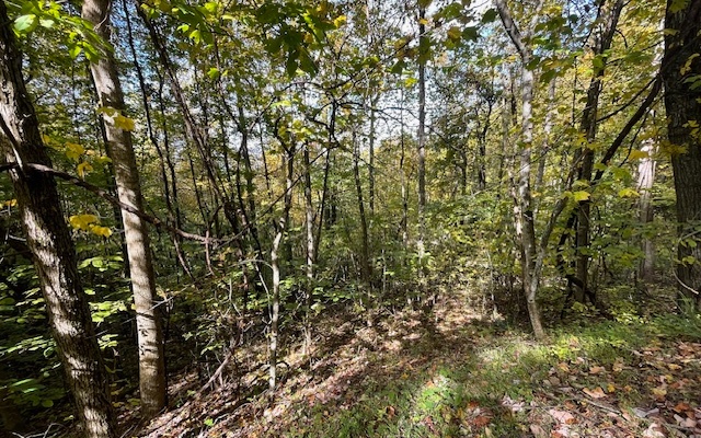 73 Hidden Treasure Estate Murphy, NC 28906 - Photo 21 of 27 Additional View