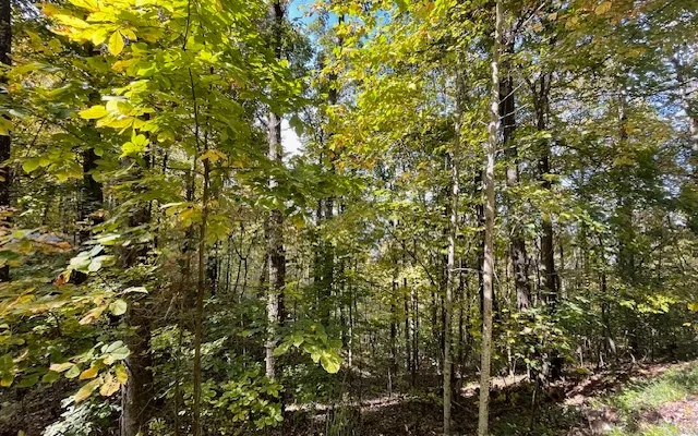 $55,000 | 73 Hidden Treasure Estate, Murphy, NC 28906