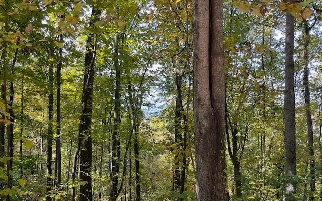 $55,000 | 73 Hidden Treasure Estate, Murphy, NC 28906