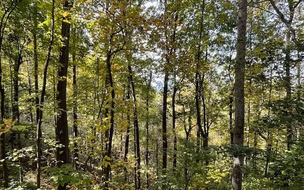 $49,900 | 73 Hidden Treasure Estate, Murphy, NC 28906