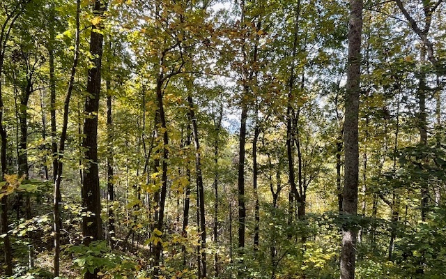 73 Hidden Treasure Estate Murphy, NC 28906 - Photo 24 of 27 Additional View