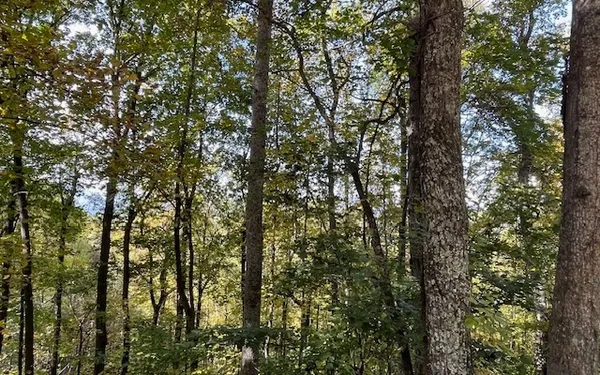 $49,900 | 73 Hidden Treasure Estate, Murphy, NC 28906