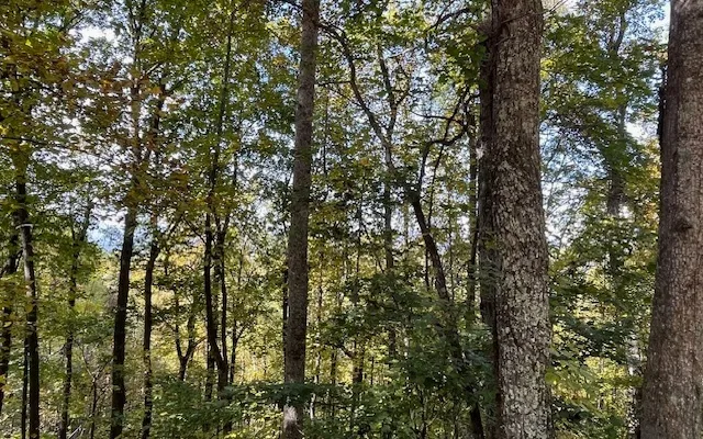 $55,000 | 73 Hidden Treasure Estate, Murphy, NC 28906