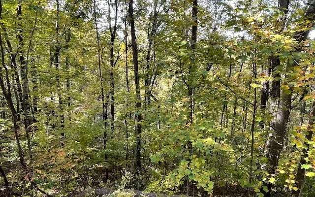 $55,000 | 73 Hidden Treasure Estate, Murphy, NC 28906