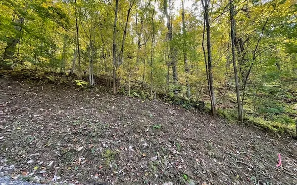 $49,900 | 73 Hidden Treasure Estate, Murphy, NC 28906