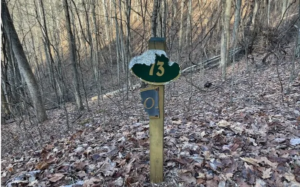 $49,900 | 73 Hidden Treasure Estate, Murphy, NC 28906