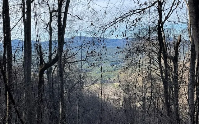 $55,000 | 73 Hidden Treasure Estate, Murphy, NC 28906