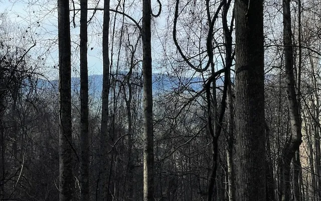 $55,000 | 73 Hidden Treasure Estate, Murphy, NC 28906