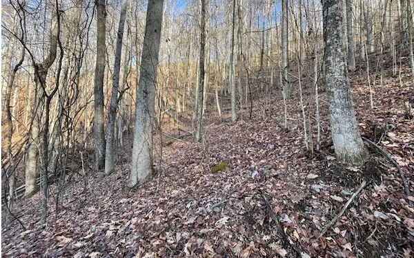 $49,900 | 73 Hidden Treasure Estate, Murphy, NC 28906