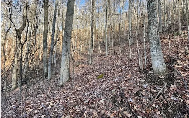 $55,000 | 73 Hidden Treasure Estate, Murphy, NC 28906