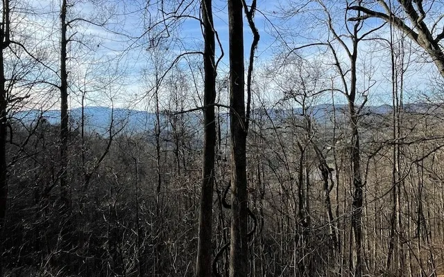 $55,000 | 73 Hidden Treasure Estate, Murphy, NC 28906