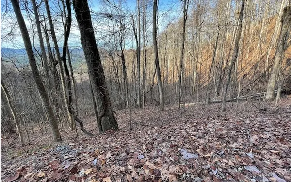 $49,900 | 73 Hidden Treasure Estate, Murphy, NC 28906