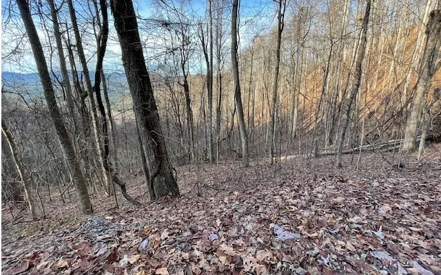 $55,000 | 73 Hidden Treasure Estate, Murphy, NC 28906