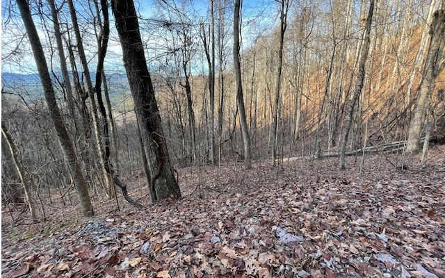 73 Hidden Treasure Estate Murphy, NC 28906 - Photo 9 of 27 Additional View
