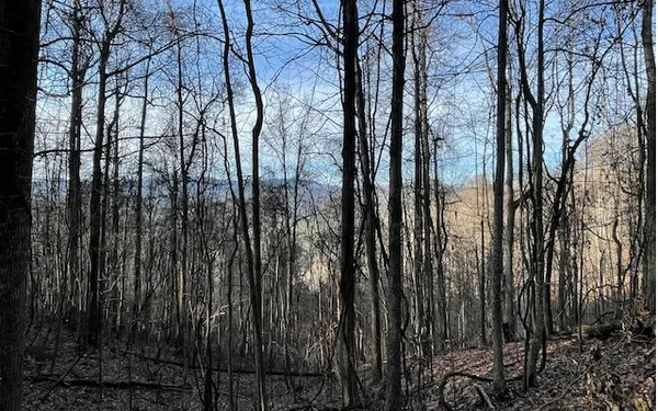 $49,900 | 73 Hidden Treasure Estate, Murphy, NC 28906