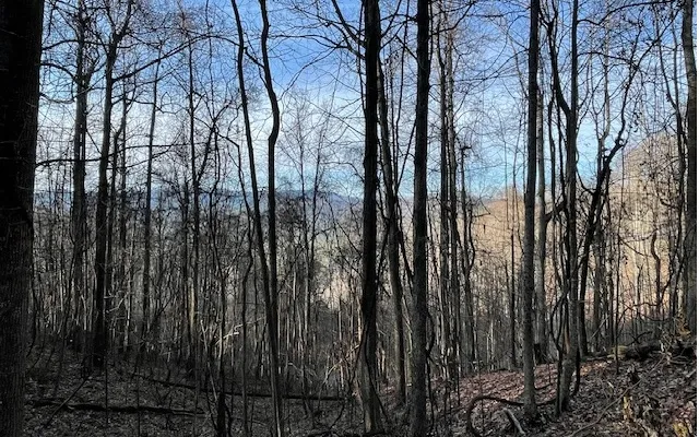 $55,000 | 73 Hidden Treasure Estate, Murphy, NC 28906