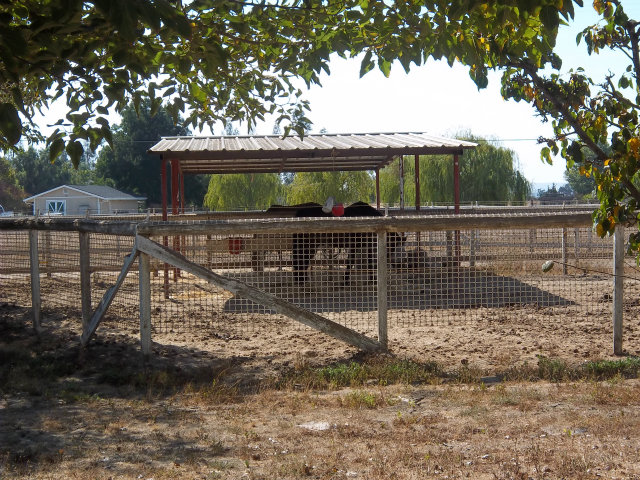 800 Spring Grove Road Hollister, CA 95023 - Photo 3 of 19 Gallery Image 3