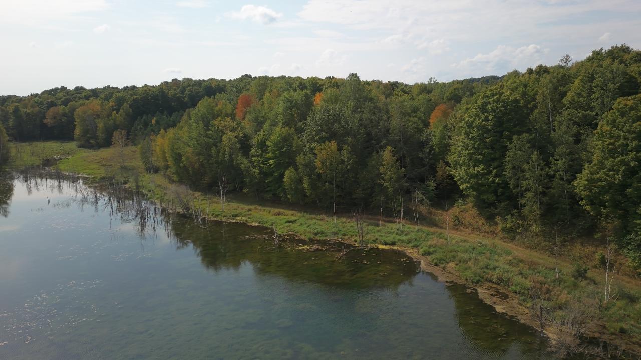 N4170 Polar Road Bryant, WI 54418 - Photo 1 of 8 Gallery Image 1