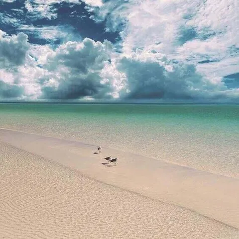 a view of two chair sitting on a table