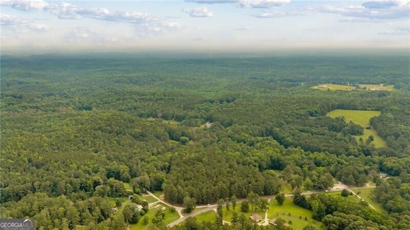0 Capps Ferry Road Palmetto, GA 30268 - Photo 2 of 71