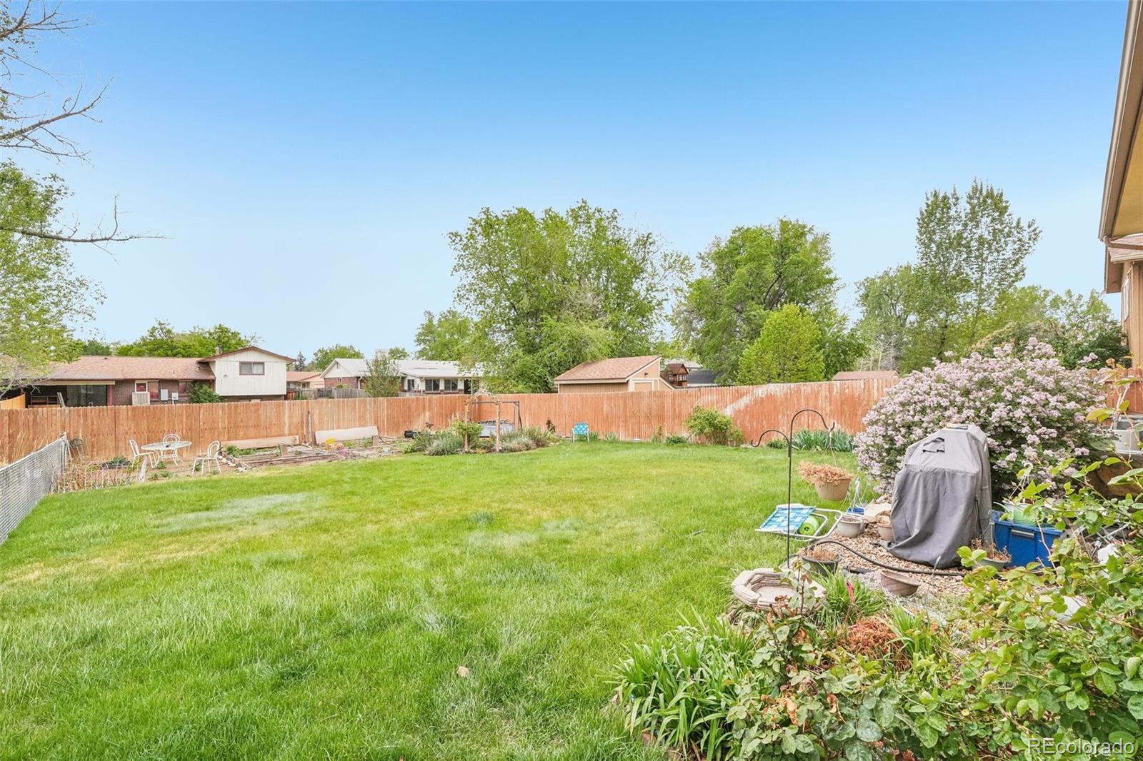 4664 Simms Street Wheat Ridge, CO 80033 - Photo 43 of 49
