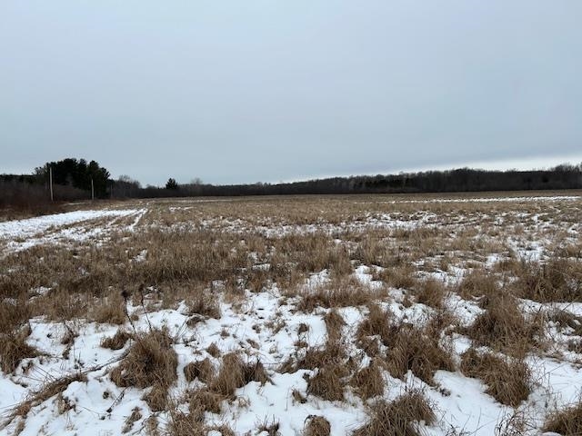 0 Jeff Road Hatley, WI 54440 - Photo 1 of 1 Gallery Image 1