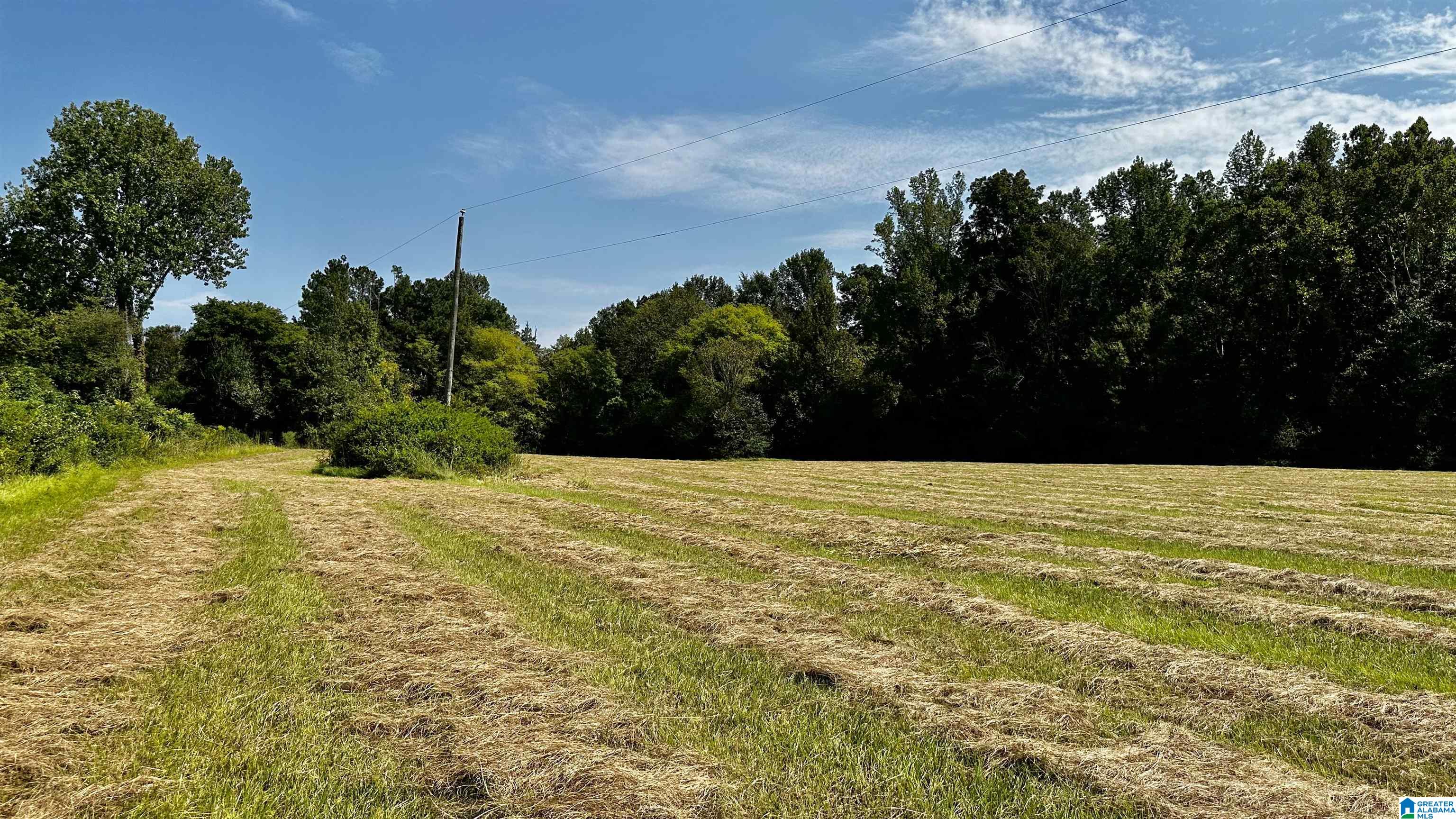 0 Rock School Road Harpersville, AL 35078 - Photo 3 of 15