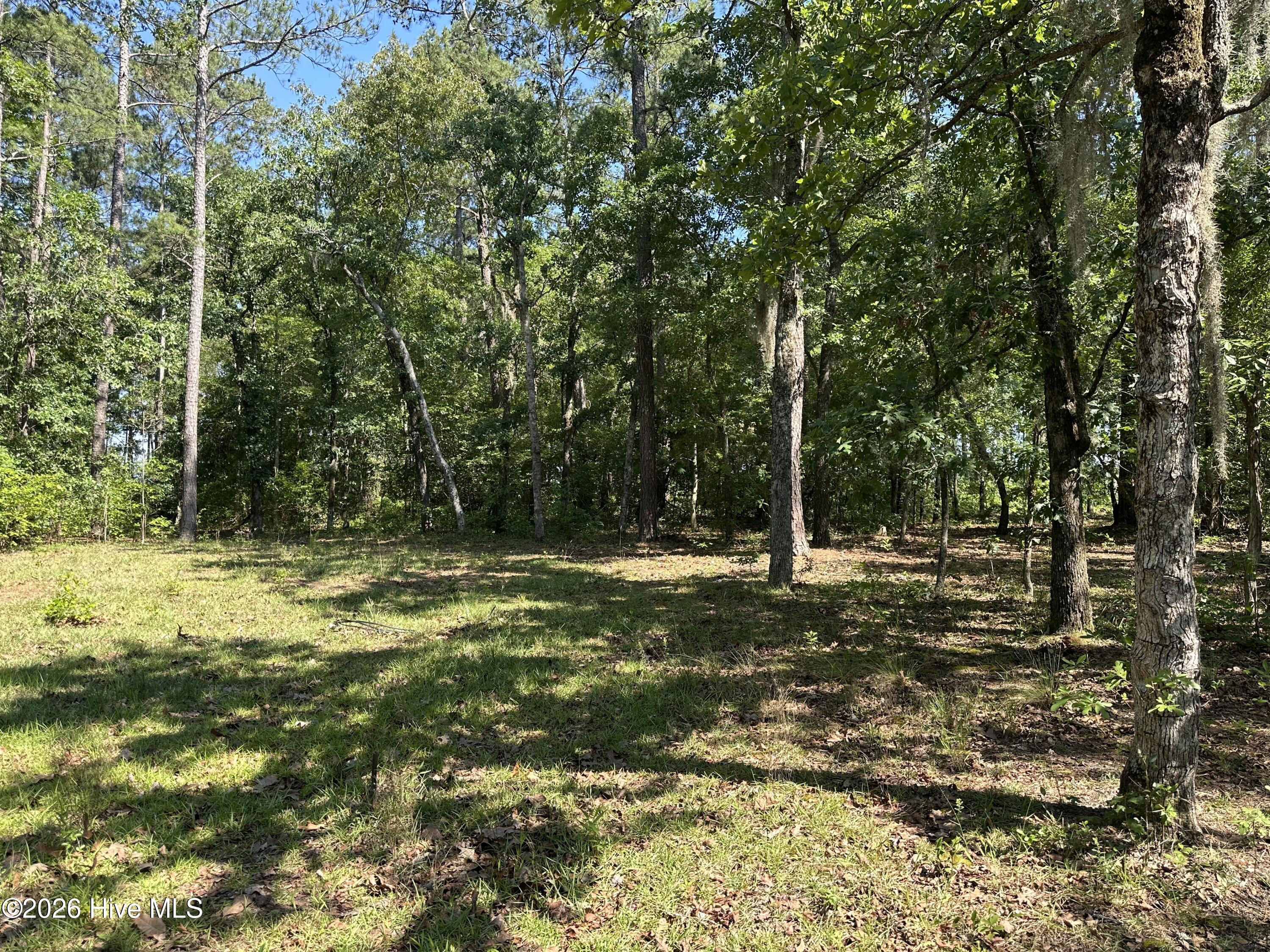 3 Big Eagle Road Atkinson, NC 28421 - Photo 7 of 14