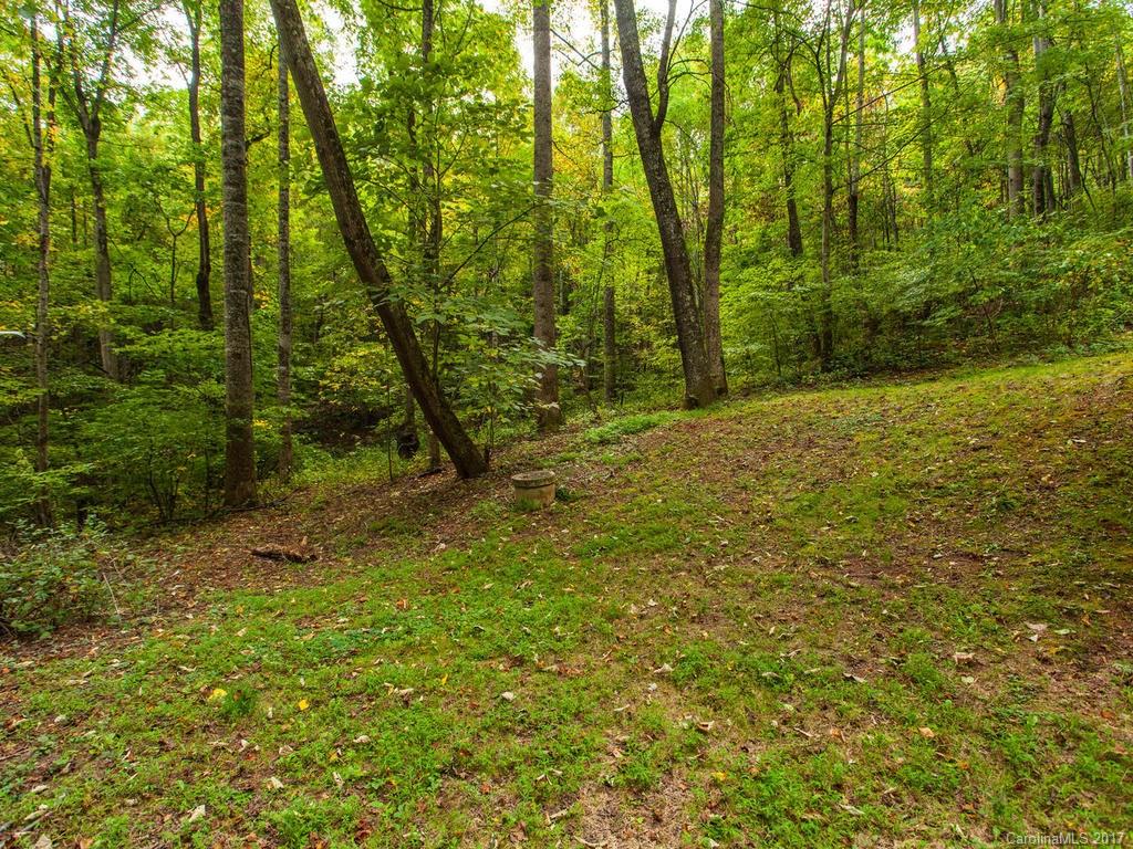 99 Apgar Road Candler, NC 28715 - Photo 15 of 20 a view of lush green forest
