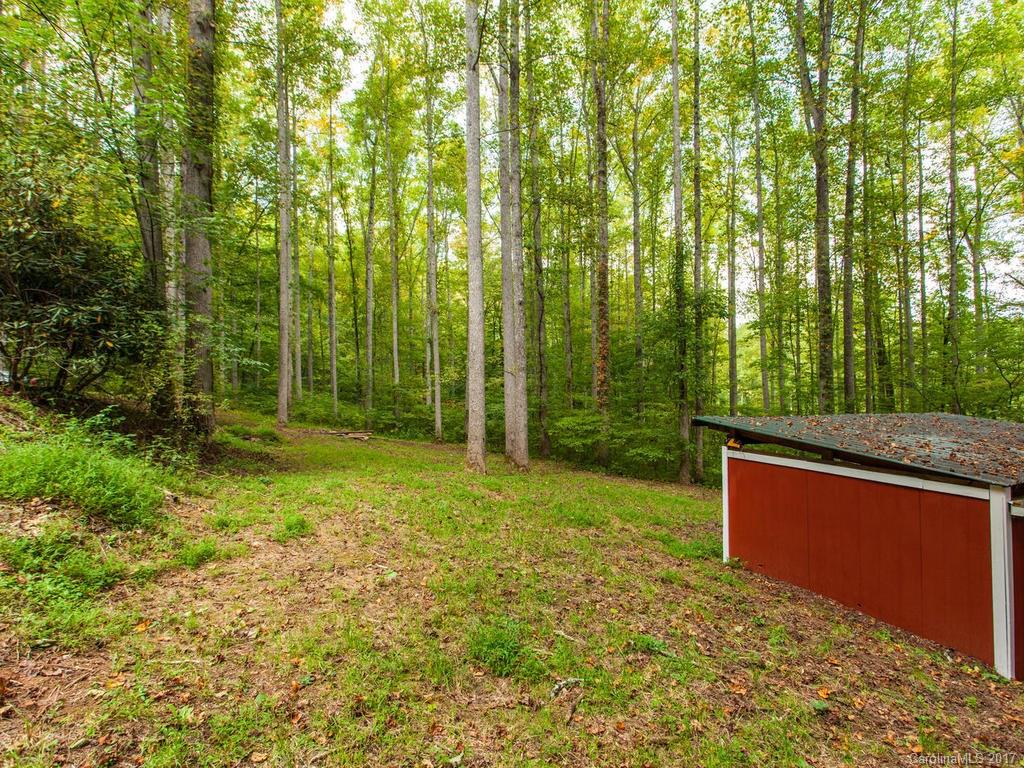 99 Apgar Road Candler, NC 28715 - Photo 17 of 20 a backyard of a house with large trees and plants