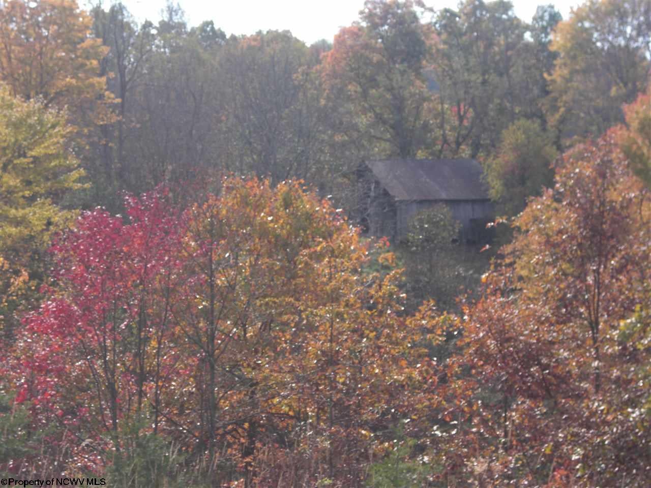 1393 Heaston Ridge Road Crawford, WV 26343 - Photo 20 of 20 Gallery Image 20